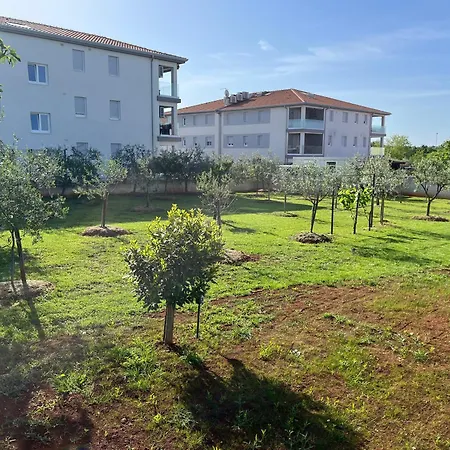 M&m Terzic Apartment