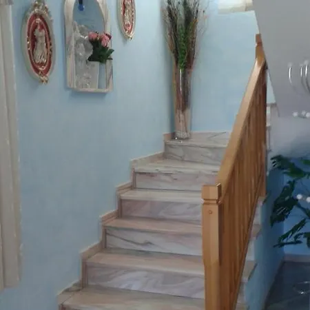 M&m Terzic 波雷奇