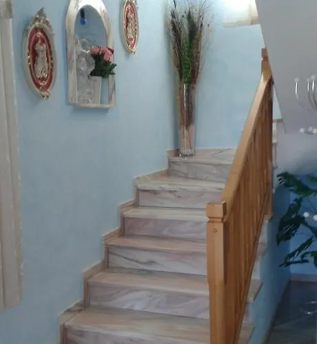 M&m Terzic بوريتش